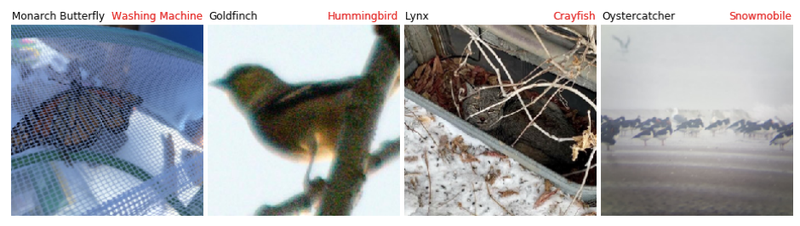 Illustration for article titled Thousands of Reasons That We Shouldn't Trust a Neural Network to Analyze Images